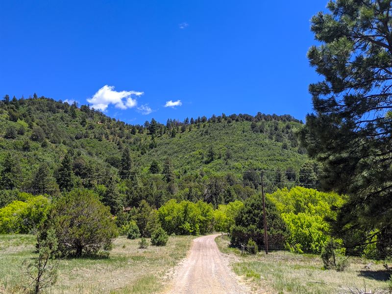 Boundless Potential Awaits : Timberon : Otero County : New Mexico
