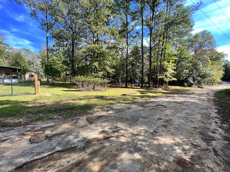 Tranquility in Woodville, TX : Woodville : Tyler County : Texas
