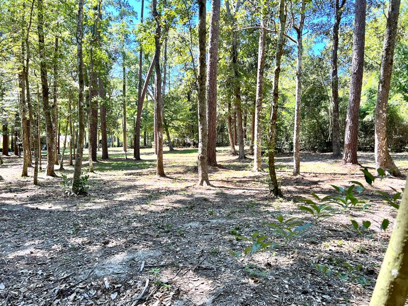 Home Oasis in Woodville, TX : Woodville : Tyler County : Texas
