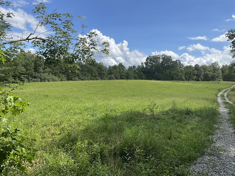 Shadow Ridge Tract 2 : Williamsburg : Whitley County : Kentucky