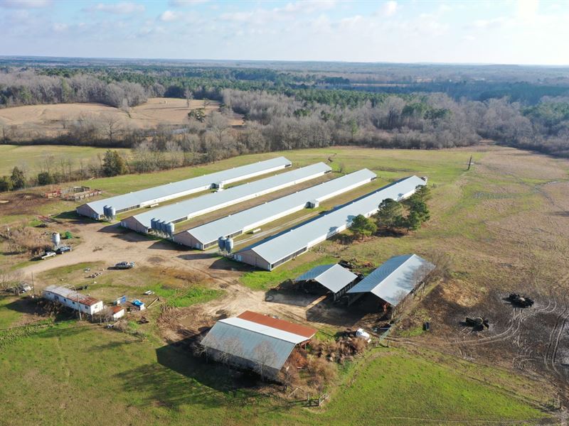 New Price, Lejeune Farm : Morton : Scott County : Mississippi