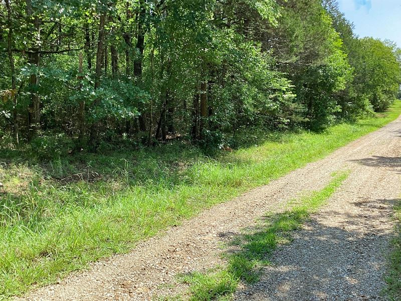 Reel in Your Lake Life : Diamond City : Boone County : Arkansas
