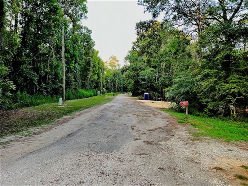 City Retreat for Thrills and Joy : Livingston : Polk County : Texas