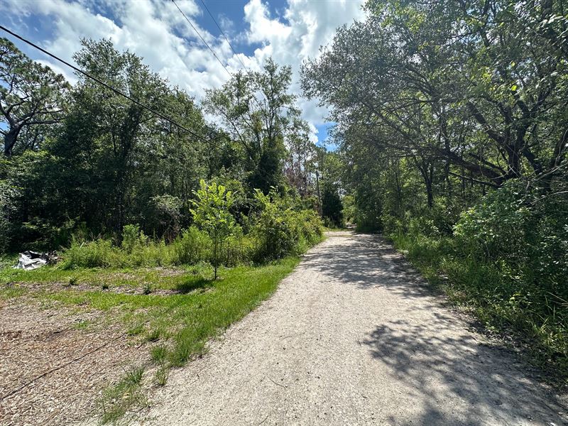 Corner Lot, Power & Paved Road : New Port Richey : Pasco County : Florida