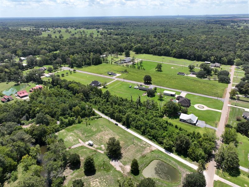 3.33 Acres in Ascension Parish, LA : Gonzales : Ascension Parish : Louisiana