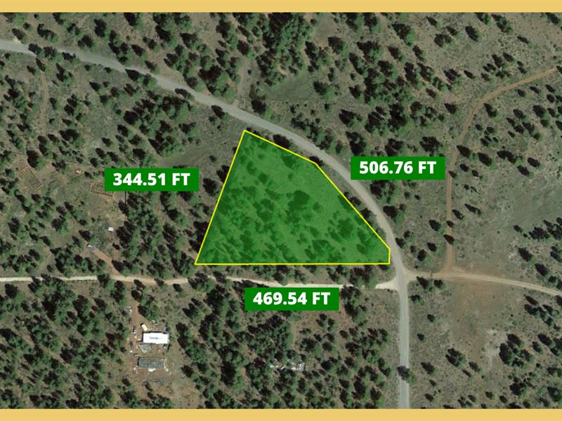 Off Grid Lovers, Rare Corner Treed : Bonanza : Klamath County : Oregon