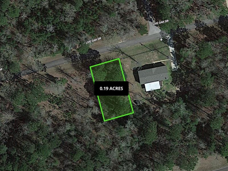 Natural Paradise for $187.41/Mo : Trinity : Trinity County : Texas