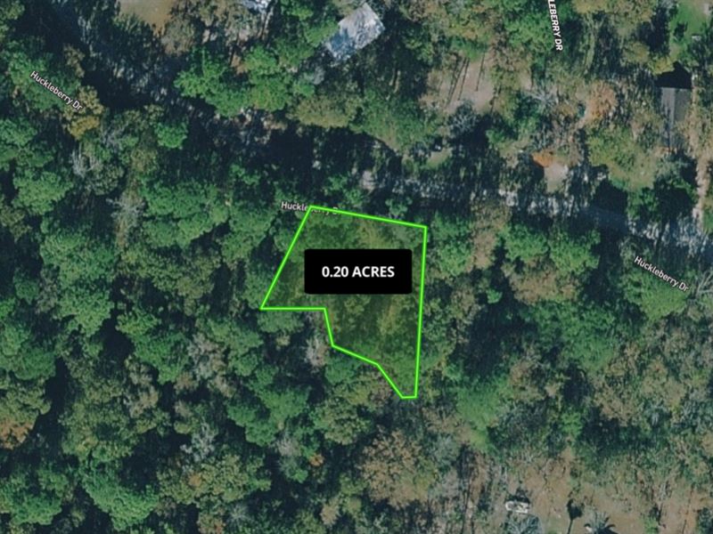 Enchanting Land Just for $204.35/Mo : Trinity : Trinity County : Texas