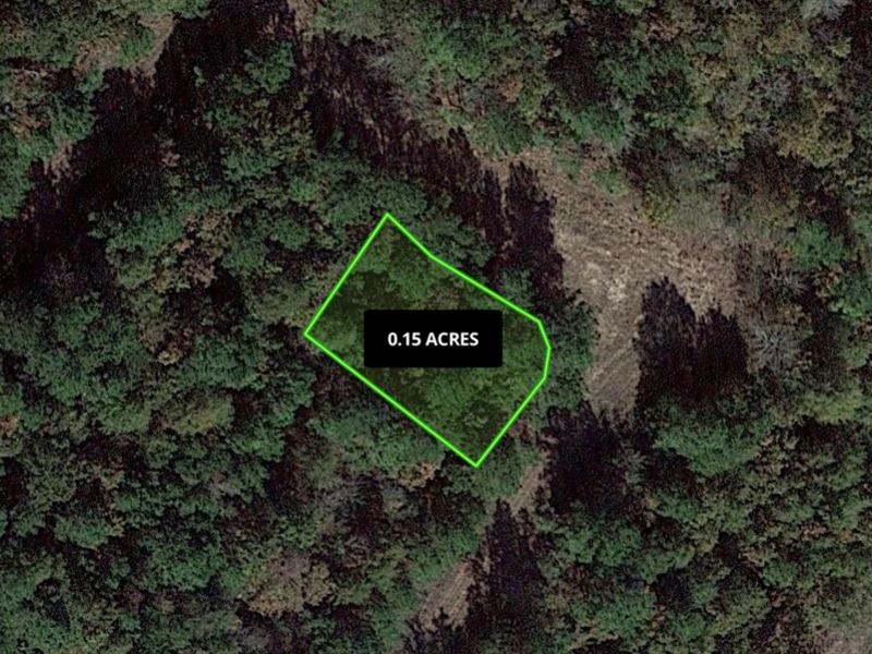 Captivating Oasis for $153.53/Mo : Livingston : Polk County : Texas