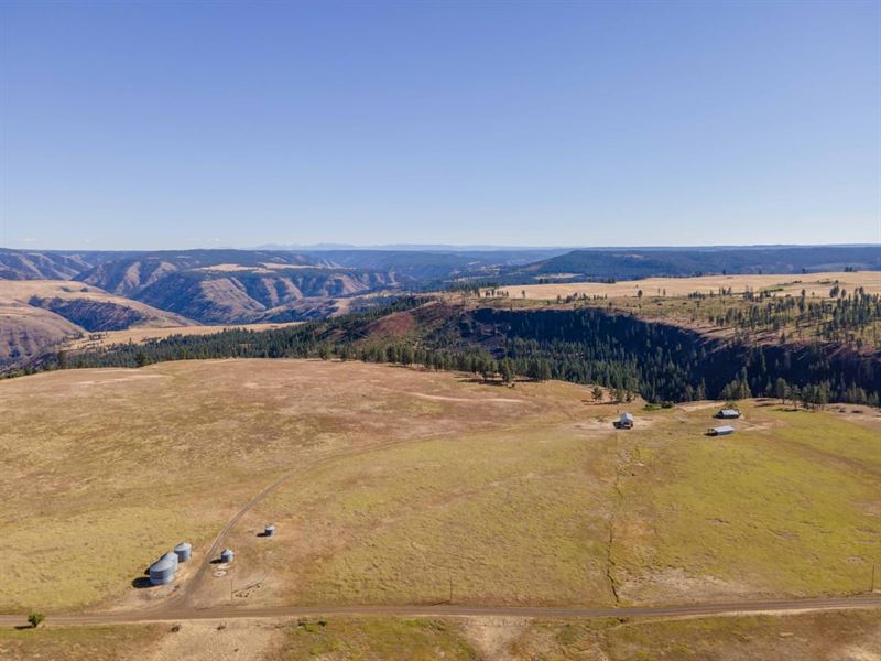 The Bear Creek Parcel : Troy : Wallowa County : Oregon