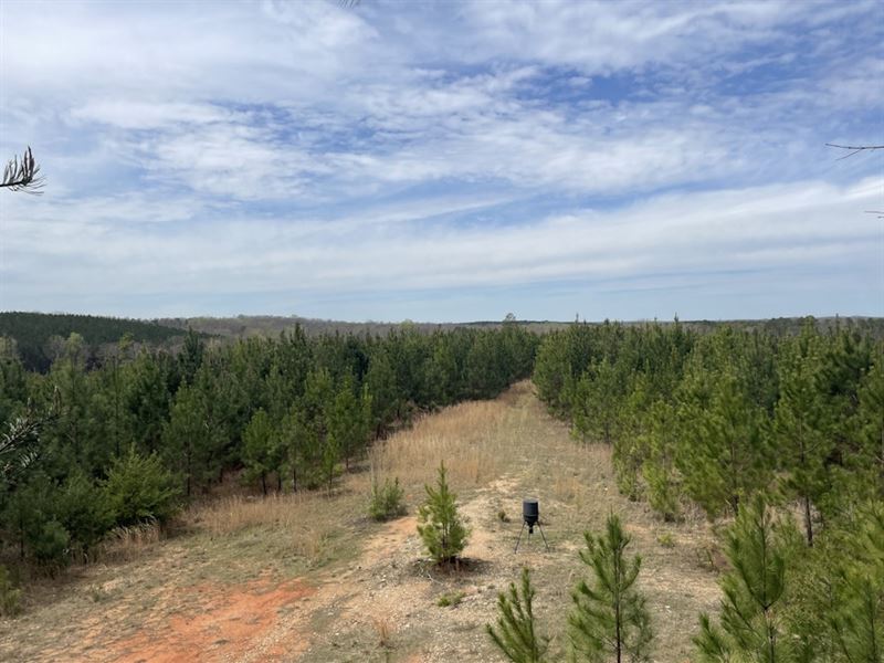 Hickory Grove Hunting Creek : Hickory Grove : York County : South Carolina