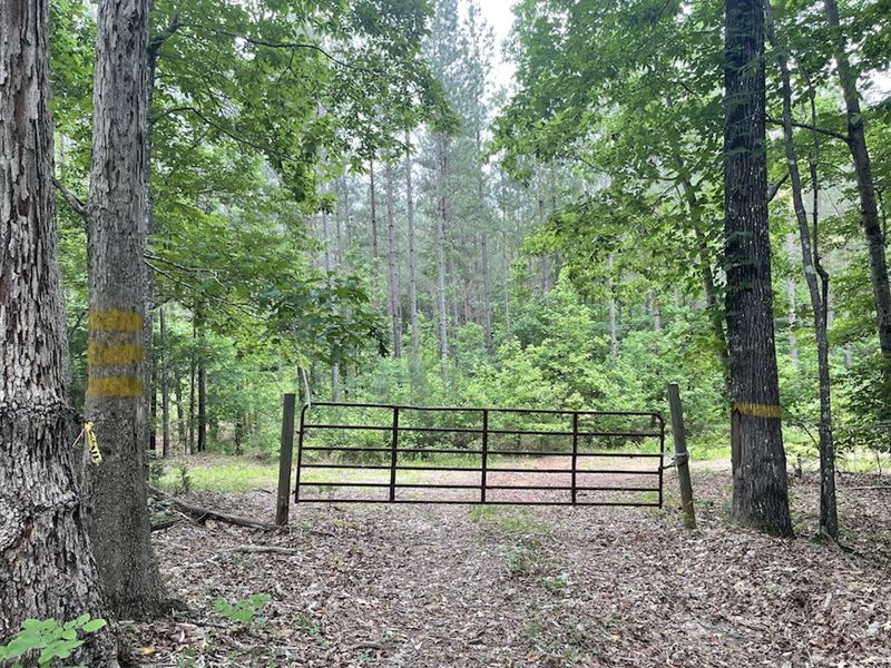 236.60 Acres in Sharon, South Carolina : Sharon : York County : South Carolina