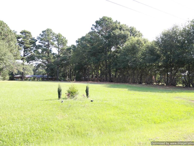 .64 Acre Lot in Canton, MS : Canton : Madison County : Mississippi