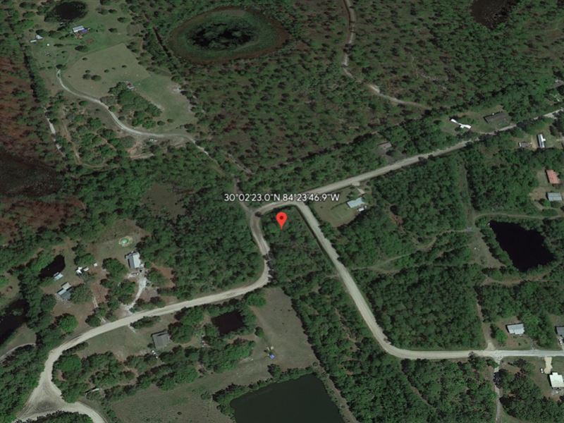 Coastal Bliss Just for $238.96/Mo : Panacea : Wakulla County : Florida