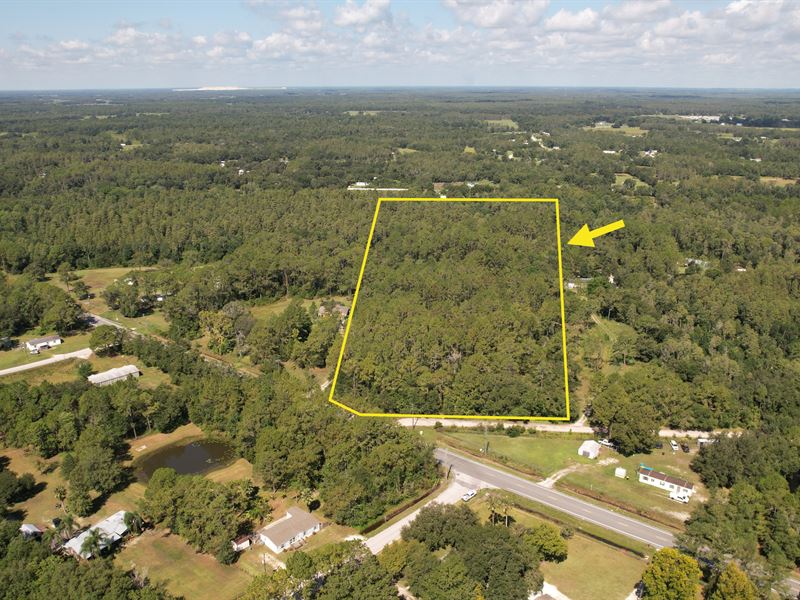 Rockridge Road Acreage : Lakeland : Polk County : Florida