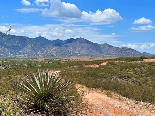 Best Scenic Views on Lonely Dove Pl : Huachuca City : Cochise County : Arizona