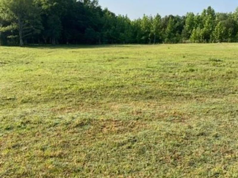 3 Acres Hobby Farm with Home : Rose Bud : White County : Arkansas