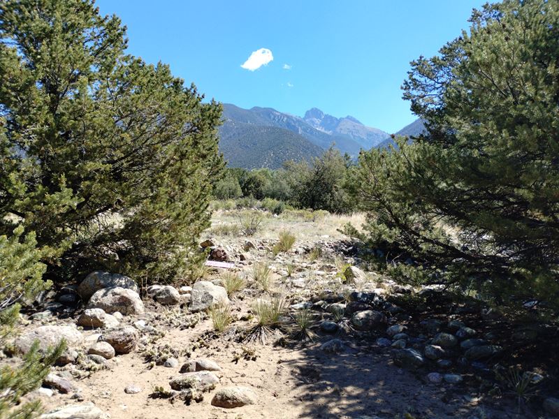 Own This Gorgeous Lot for $699/Mo : Crestone : Saguache County : Colorado