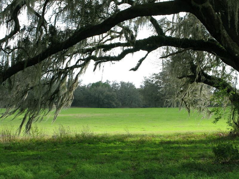 Dade City Residential Development : Dade City : Pasco County : Florida