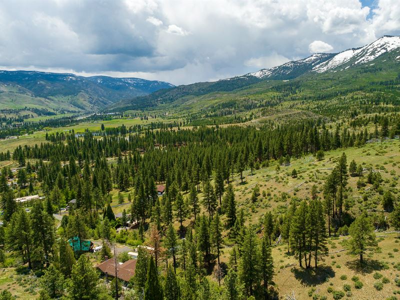 Price Reduced, Invest Near Tahoe : Verdi : Sierra County : California