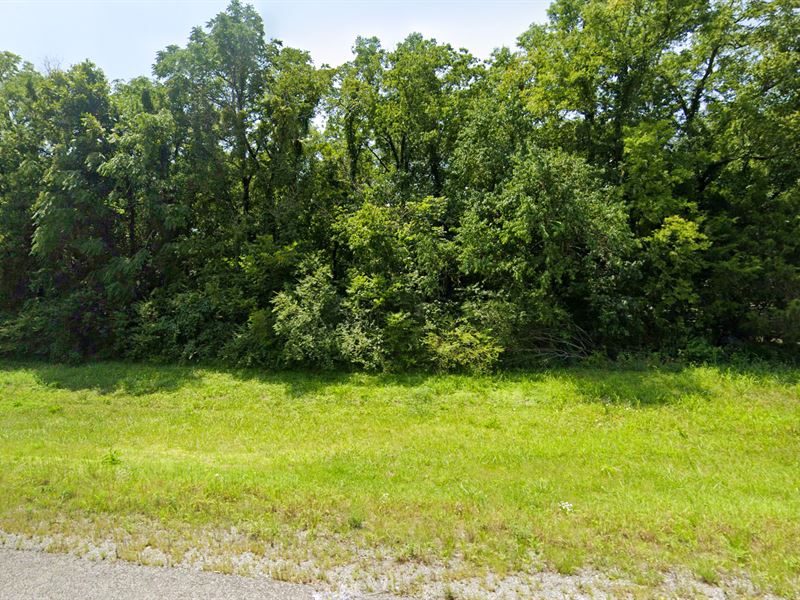 5 Miles Outside Fayetteville, TN : Fayetteville : Lincoln County : Tennessee
