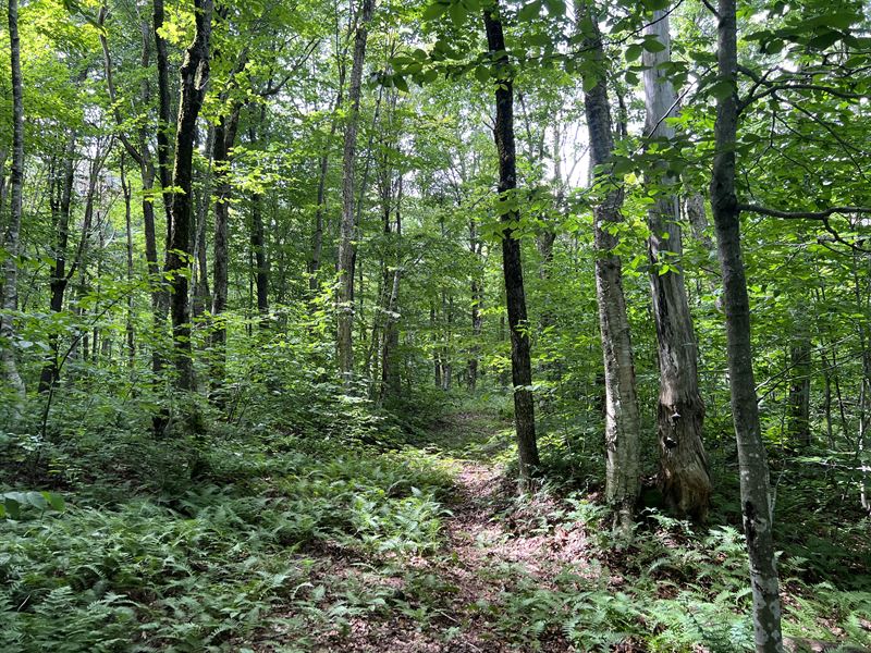 Four Seasons of Recreation : Lowville : Lewis County : New York