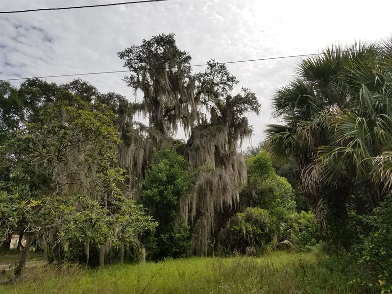 Price Reduced, Build Your Dream : Tavares : Lake County : Florida