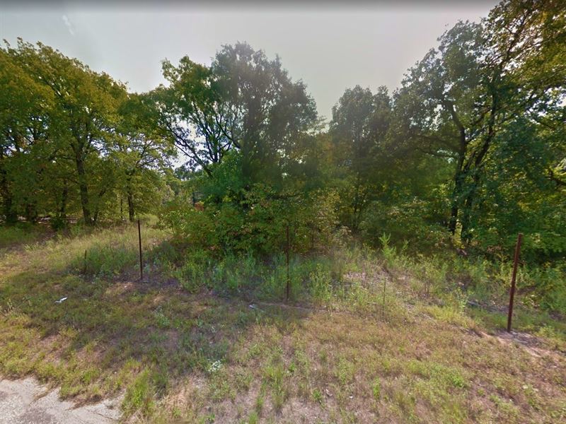 .15 Acre in Mineola, $200 a Month : Mineola : Smith County : Texas