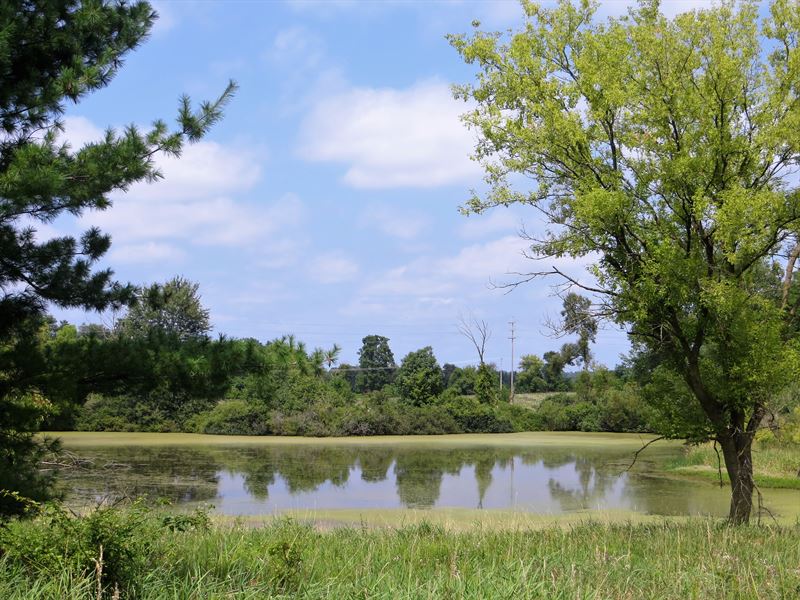 39 Acres Manchester Land for Sale : Manchester : Washtenaw County : Michigan