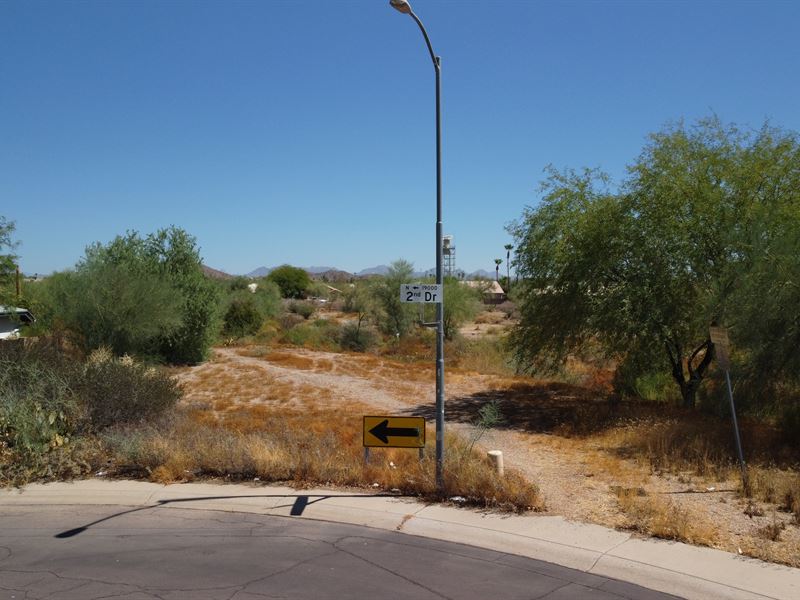 A Significant Land in Phoenix : Phoenix : Maricopa County : Arizona