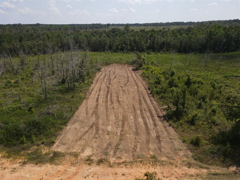 East Goodway 20 Tract : Atmore : Monroe County : Alabama