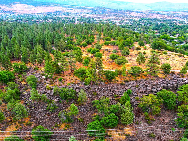 Mountain Views, Build Ready : Susanville : Lassen County : California