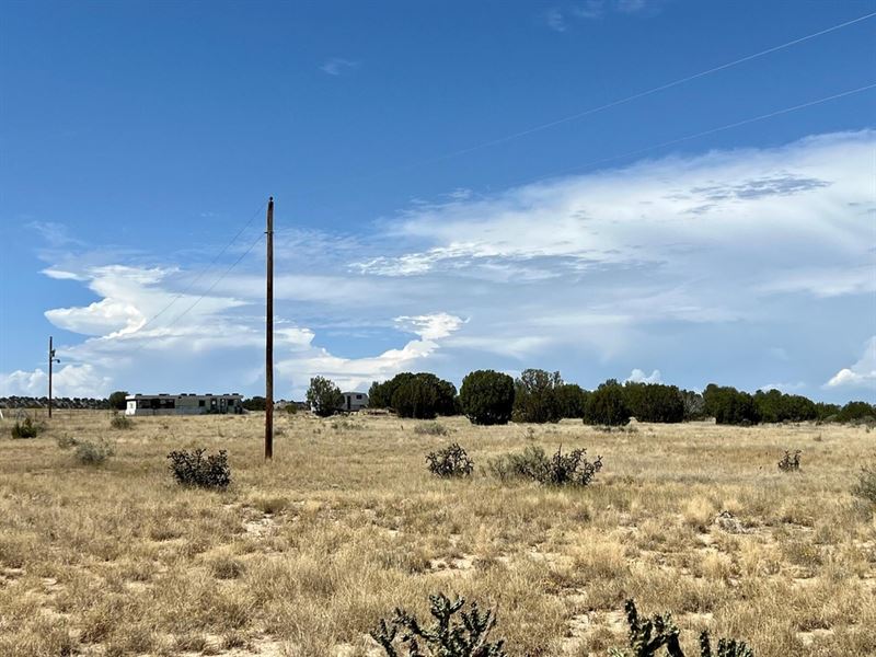 Unassigned Las Animas Ranch, Cr 93 : Model : Las Animas County : Colorado