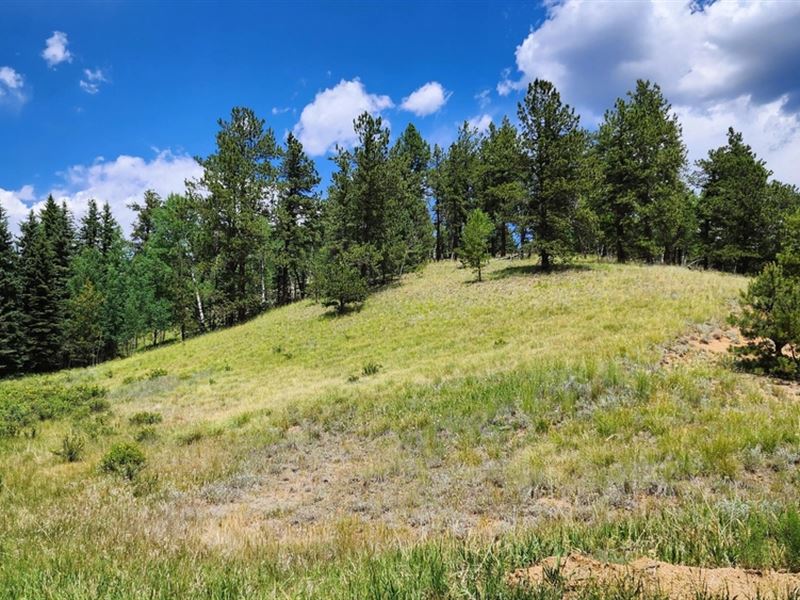 1108 E & 1210 Bison Creek Trail : Divide : Teller County : Colorado