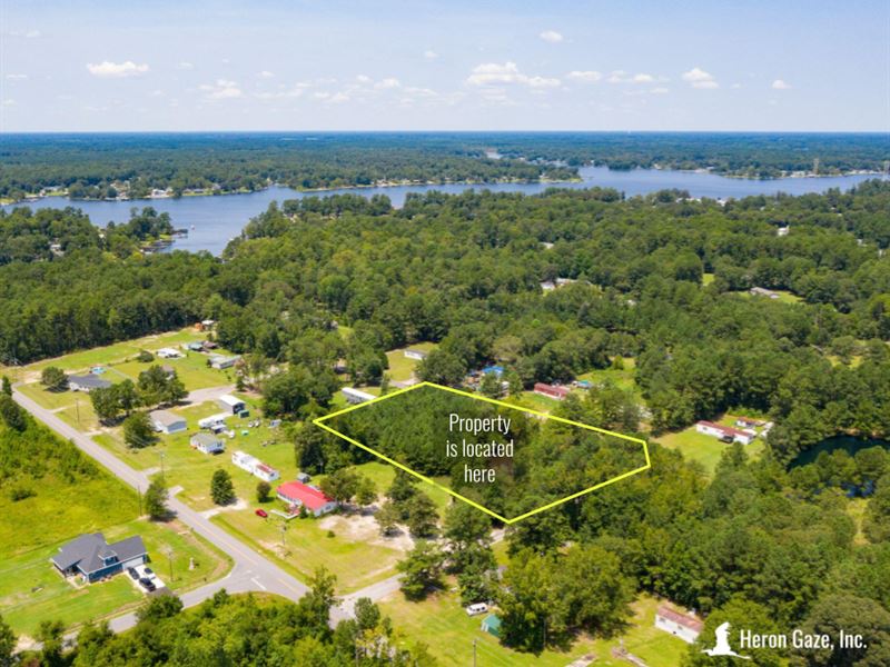 Lot at Lake Marion with Pond no HOA : Manning : Clarendon County : South Carolina
