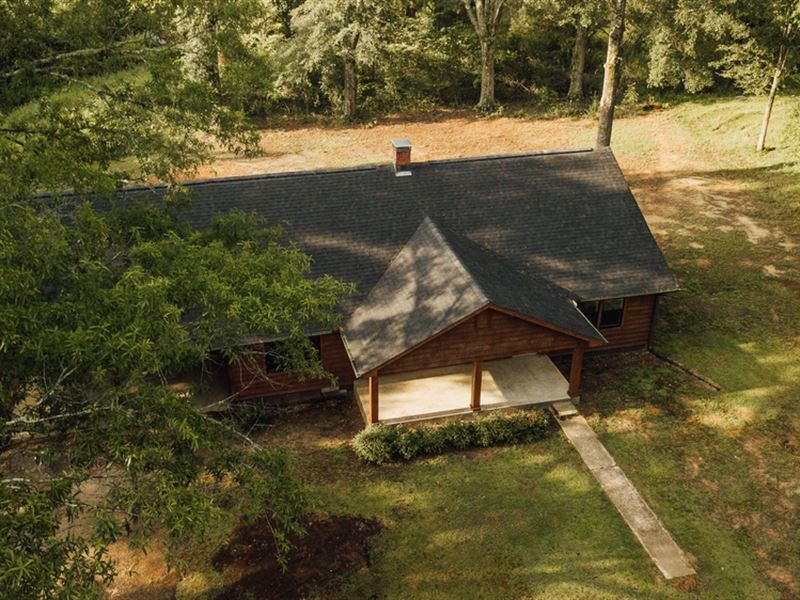 59.07 Acres with A Cabin in Webster : Eupora : Webster County : Mississippi