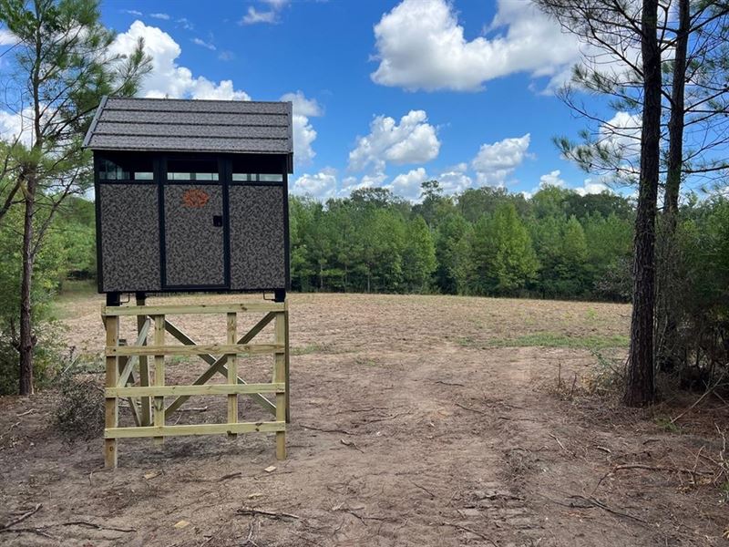 114 Acres Hunting, Recreation : Osyka : Amite County : Mississippi