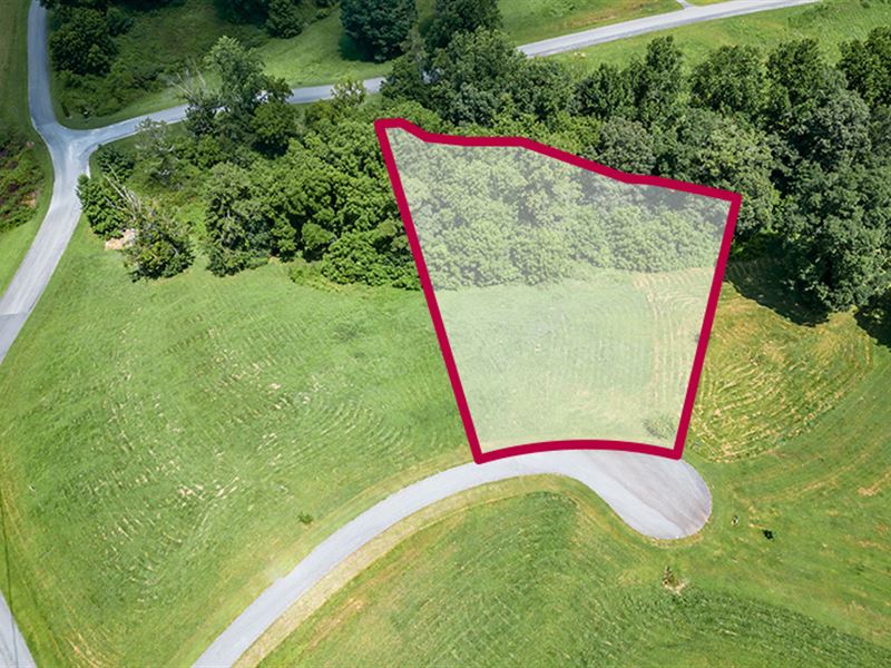 Private with Amenities : Blairsville : Union County : Georgia