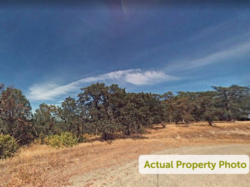 Residential Hilltop Property : Corning : Tehama County : California