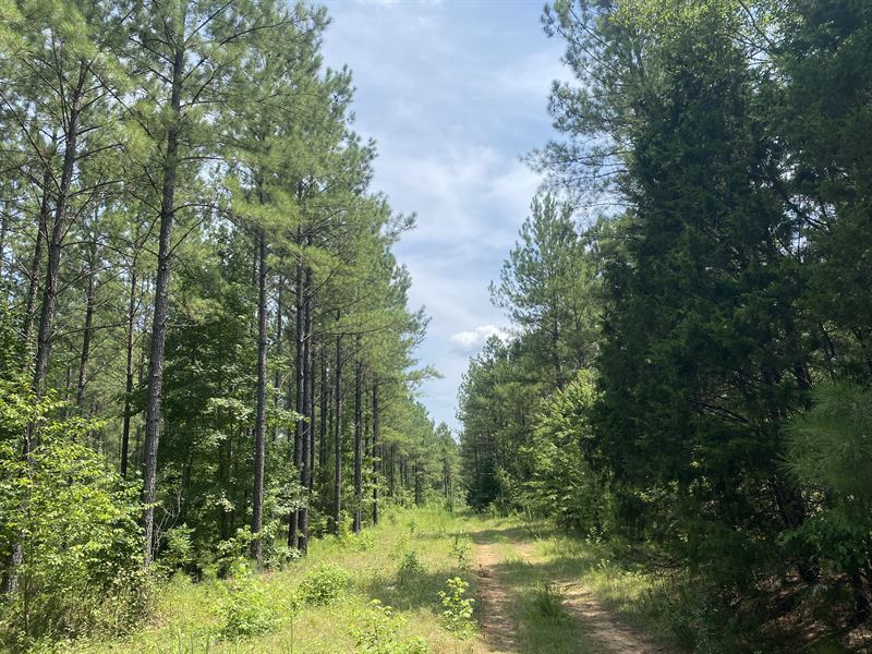 Richland Creek Tract : Talbotton : Talbot County : Georgia