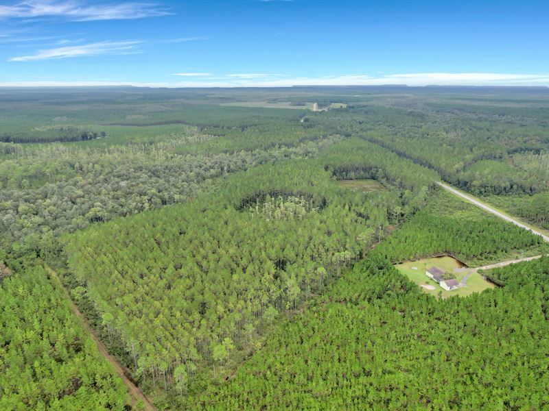 Tract 2, 100 Ac, Suwannee Chapel Rd : Manor : Ware County : Georgia