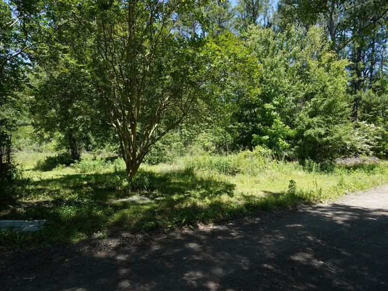 1 Acre with Legal Road Frontage : Georgetown : Georgetown County : South Carolina