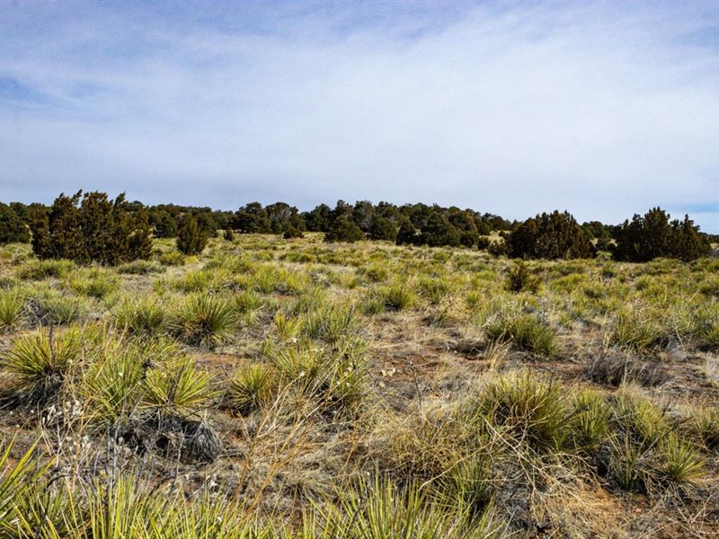 L125 F2 Chickasaw Drive, Walsenburg : Walsenburg : Huerfano County : Colorado