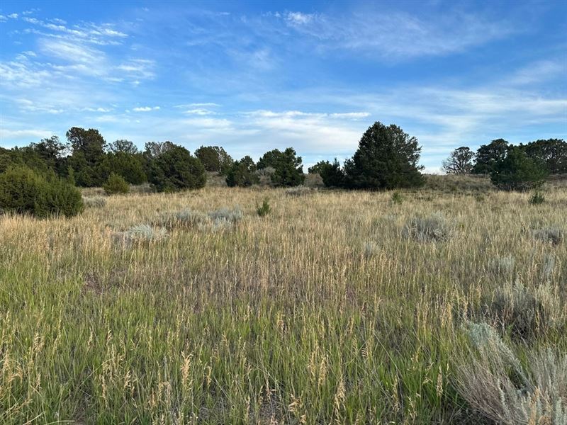 Lot 11 Navajo Ranch Resorts Drive : Walsenburg : Huerfano County : Colorado
