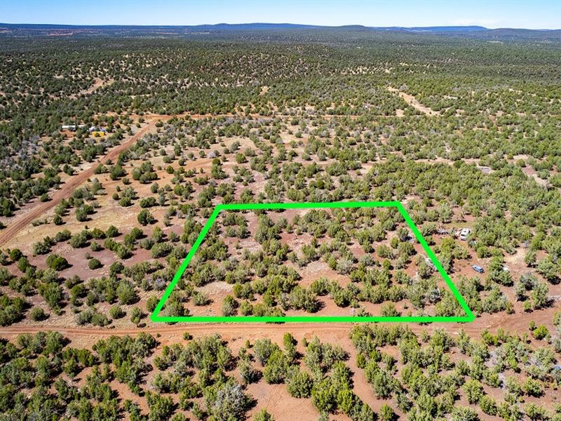 Homesteader Acreage in Ash Fork : Williams : Coconino County : Arizona