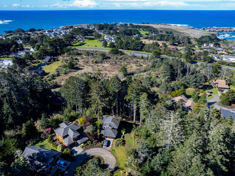 By Ocean, Price Reduced : Mendocino : Mendocino County : California