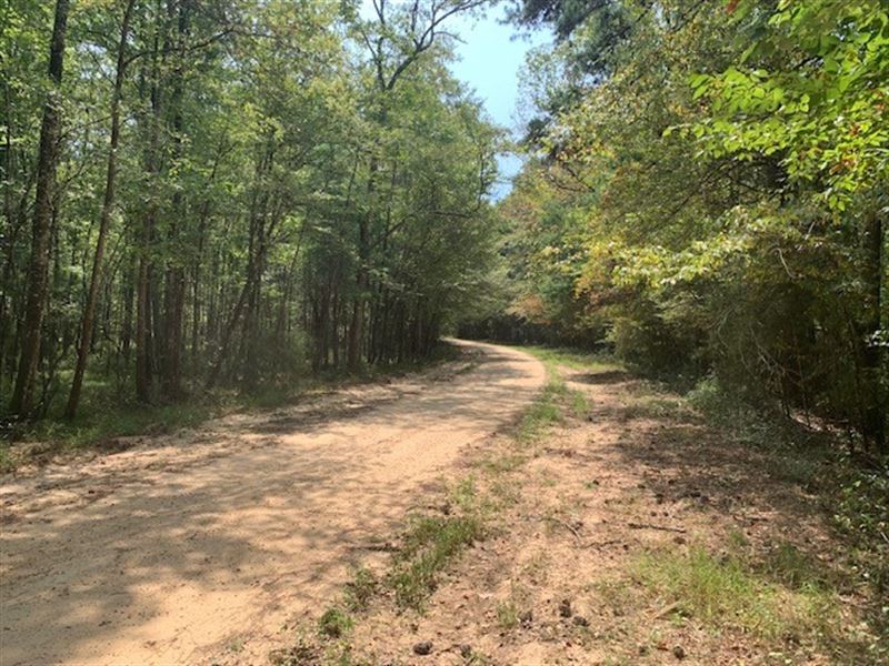 Grange Hall Road : Osyka : Amite County : Mississippi