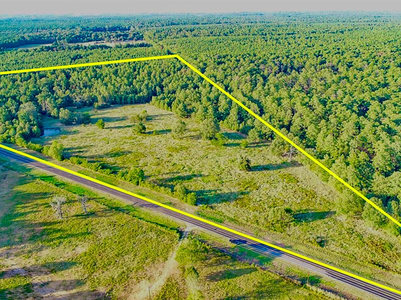 47 Acres, US 287 : Groveton : Trinity County : Texas