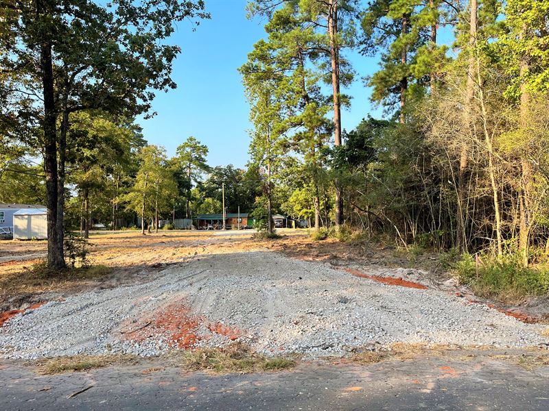 .09 Ac RV, Mobile, Tiny Home Lot : Trinity : Trinity County : Texas