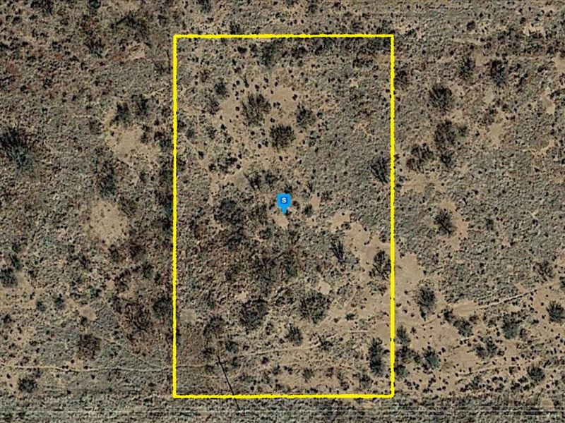Commercial Oasis in Pearce, AZ : Pearce : Cochise County : Arizona